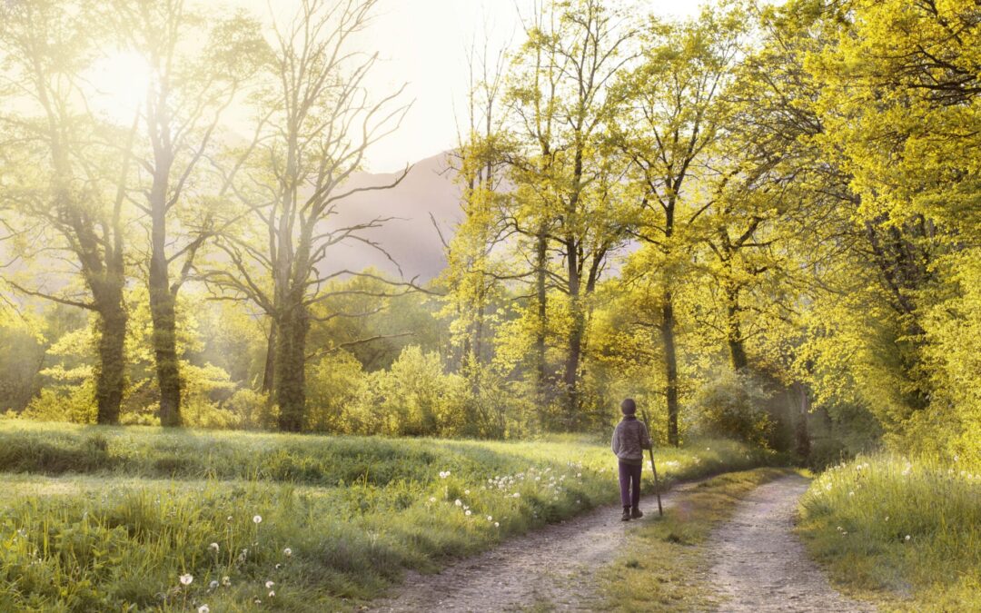 Focus on your marketing journey to achieve your goals